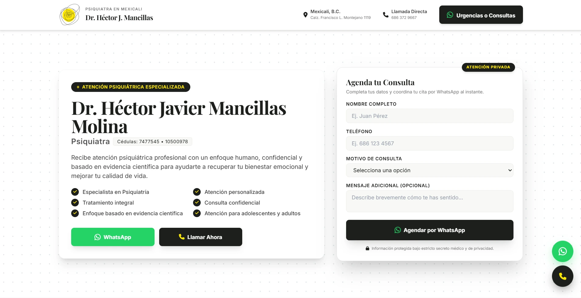 Dr. Hector Javier Mancillas Website